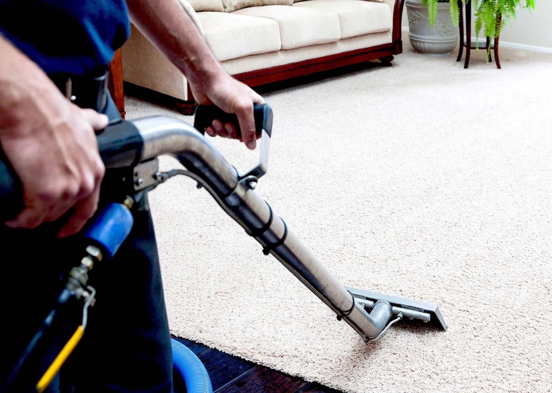Fresh sanitized carpet after eco-friendly deep cleaning service in Ventura County